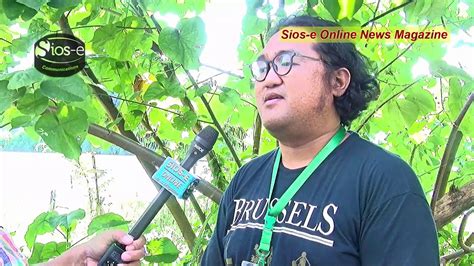 Lambago: One Tree, Kalambagohan: Many Trees.
